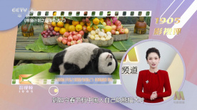 贪婪的